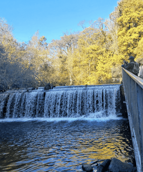 autumn walk water of leith, dean village in november